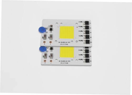 Growth Light AC LED Module High PPFD D5070 220V 50W COB LED Chip